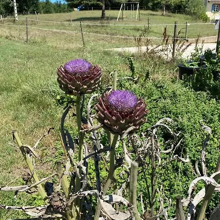 Melounette Дом отдыха Grazac (Tarn)